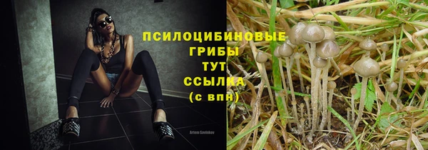 PSILOCYBIN Балабаново