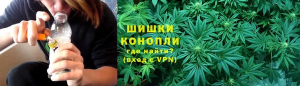 PSILOCYBIN Балабаново